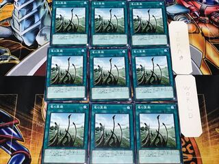 竜の霊廟 1 ノーマル 9枚セット てら