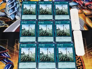 竜の霊廟 2 ノーマル 9枚セット てら