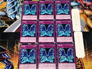 Phantom Knights' Wing 3 Normal 9-Piece Set Terra