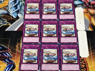 Secret Barrel 1 Normal 9-Piece Set Terra