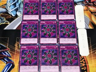 Ring of Destruction 2 Normal 9-card set Tera