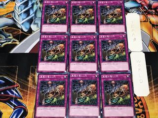 Traptrix Trap Hole Nightmare 1 Normal 9-Piece Set Terra