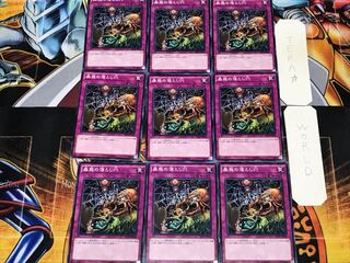 蟲惑の落とし穴 3 ノーマル 9枚セット てら