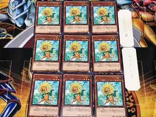 Dandylion 1 Normal, set of 9 Tera.