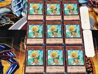 Dandylion 2 Normal, set of 9 Tera