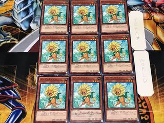 Dandylion 3 Normal 9-card set Tera