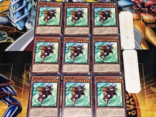 Red Hared Hasty Horse 1 Normal, set of 9 Tera.