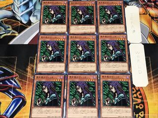 Black Forest Witch 1 Normal, set of 9 Tera.