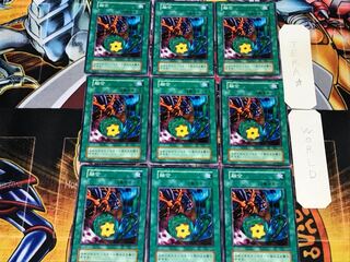 融合 1 初期 ノーマル 9枚セット てら