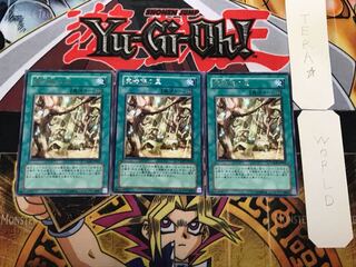 Secret Village of the Spellcasters 2 rare, set of 3 Tera.