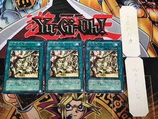 Secret Village of the Spellcasters 3 rare, set of 3 Tera.