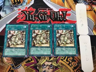 Secret Village of the Spellcasters 4 rare, set of 3 Tera.