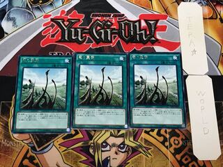 Dragon Shrine 1 rare, set of 3 Tera.