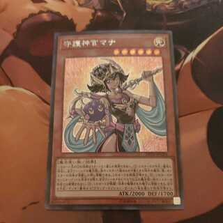 守護神官マナ  シークレット