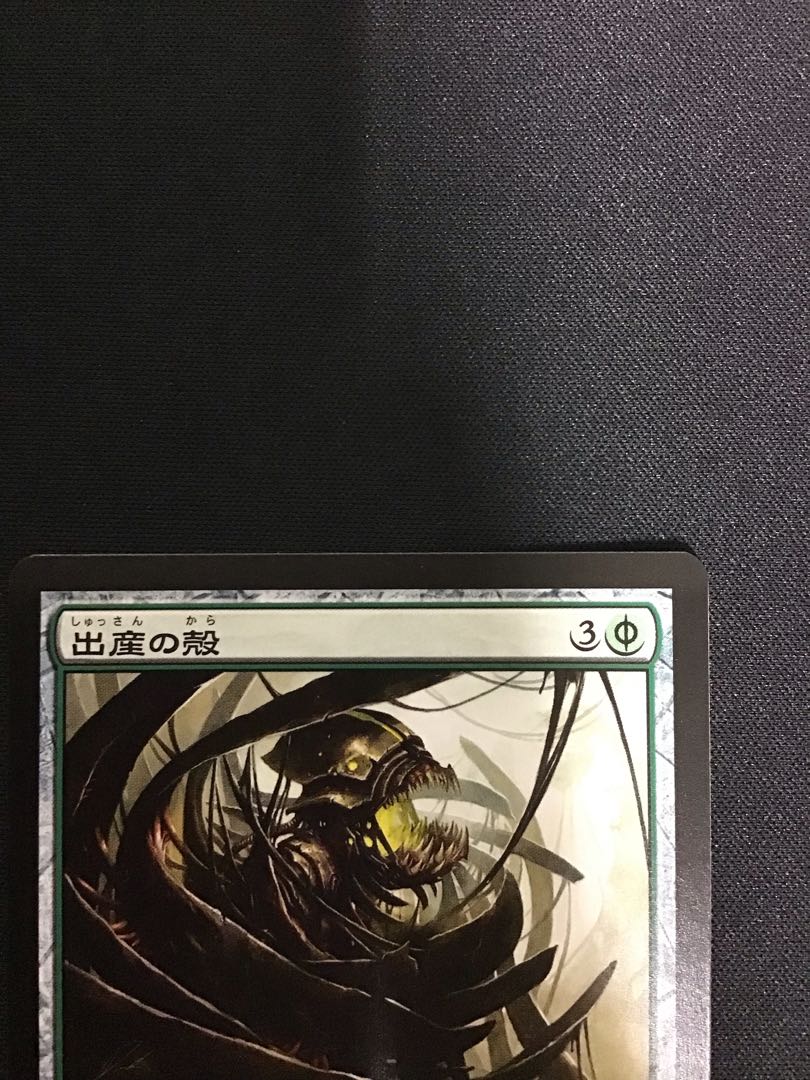 出産の殻（NPH）①