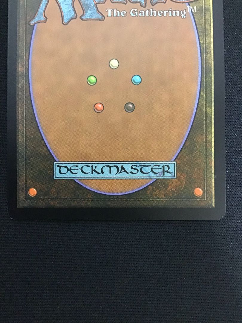 孔蹄のビヒモス