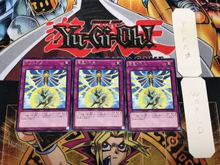 竜星の九支 2 レア 3枚セット てら