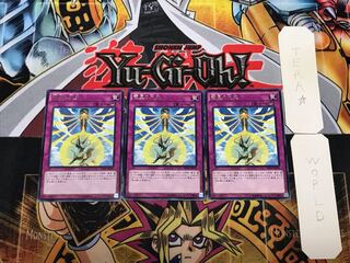 竜星の九支 3 レア 3枚セット てら