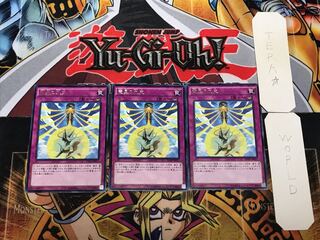 竜星の九支 4 レア 3枚セット てら