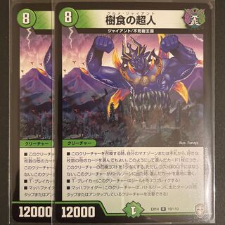 樹食の超人 R         2枚セット