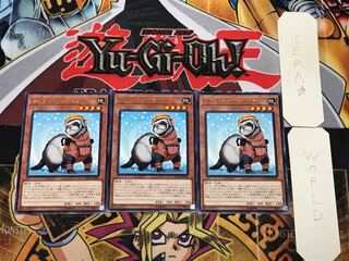 Rescue Ferret 2 Rare, Set of 3, Terra