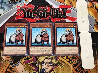 レスキューフェレット 4 レア 3枚セット てら