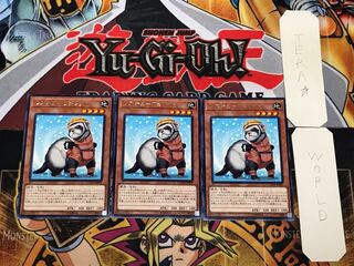 レスキューフェレット 5 レア 3枚セット てら