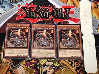 マグマ・ドラゴン 5 レア 3枚セット てら