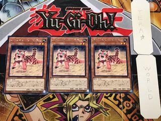 アマゾネスペット仔虎 1 レア 3枚セット てら