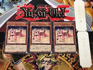 アマゾネスペット仔虎 2 レア 3枚セット てら