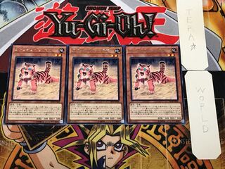 アマゾネスペット仔虎 3 レア 3枚セット てら