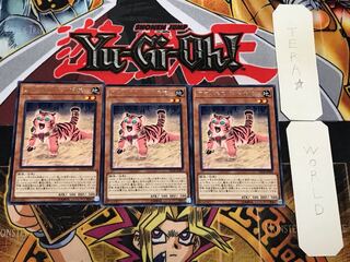 アマゾネスペット仔虎 4 レア 3枚セット てら