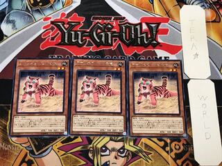 アマゾネスペット仔虎 5 レア 3枚セット てら