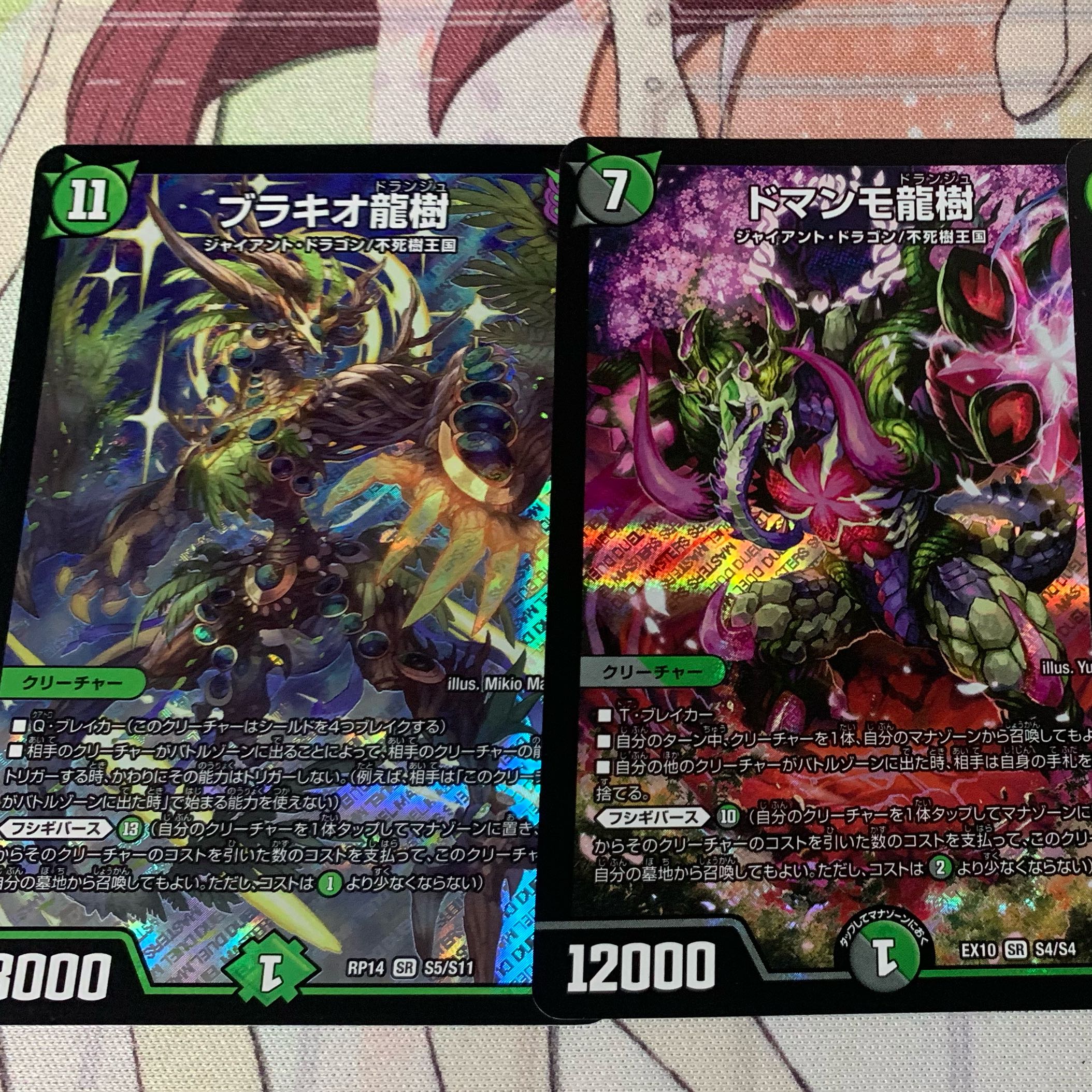 ドマンモ龍樹 ブラキオ龍樹