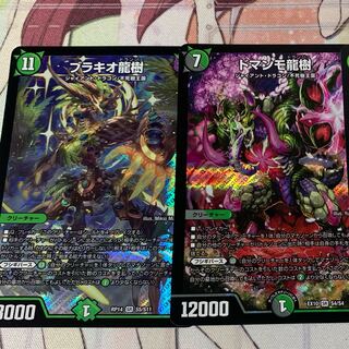 ドマンモ龍樹　ブラキオ龍樹