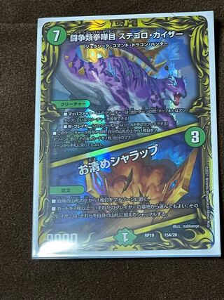 闘争類拳嘩目 ステゴロ・カイザー｜お清めシャラップ