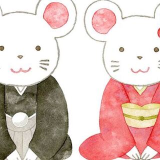 りゅうきんぐ専用