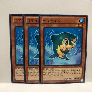 イマイルカ ノーマル　3枚　マホ子　。