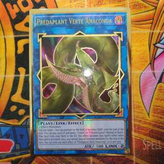 捕食植物ヴェルテ・アナコンダ(ﾌﾟﾚｺﾞﾙ英語)