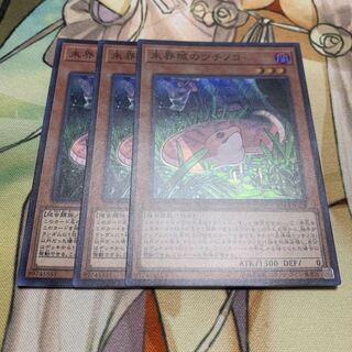 未界域のツチノコ