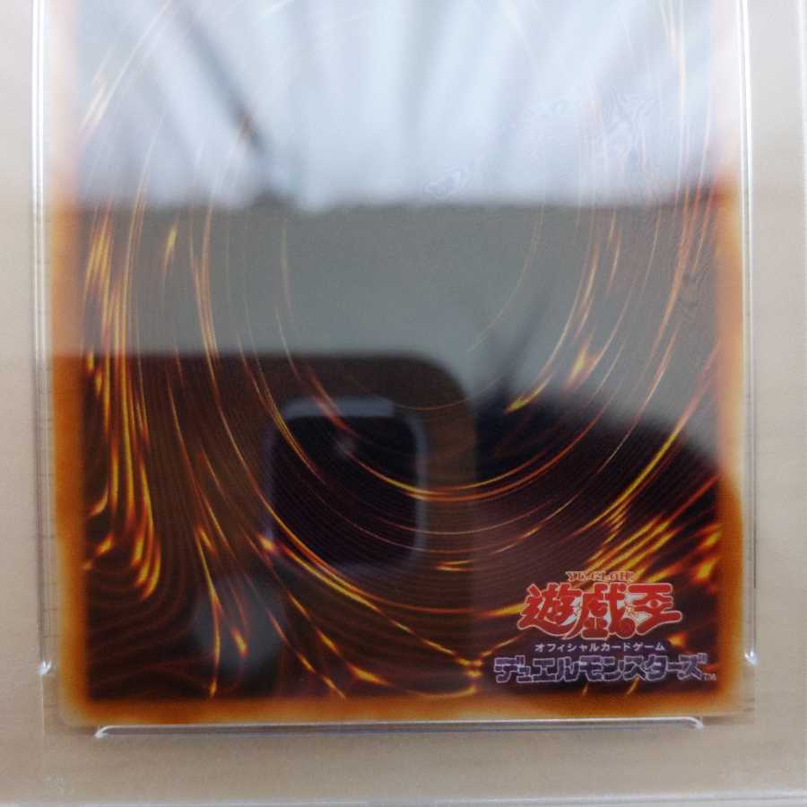 完美品級 ビッグ・シールドガードナー PSA10 きまぐれの女神PSA9