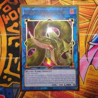 捕食植物ヴェルテ・アナコンダ(ﾌﾟﾚｺﾞﾙ英語)