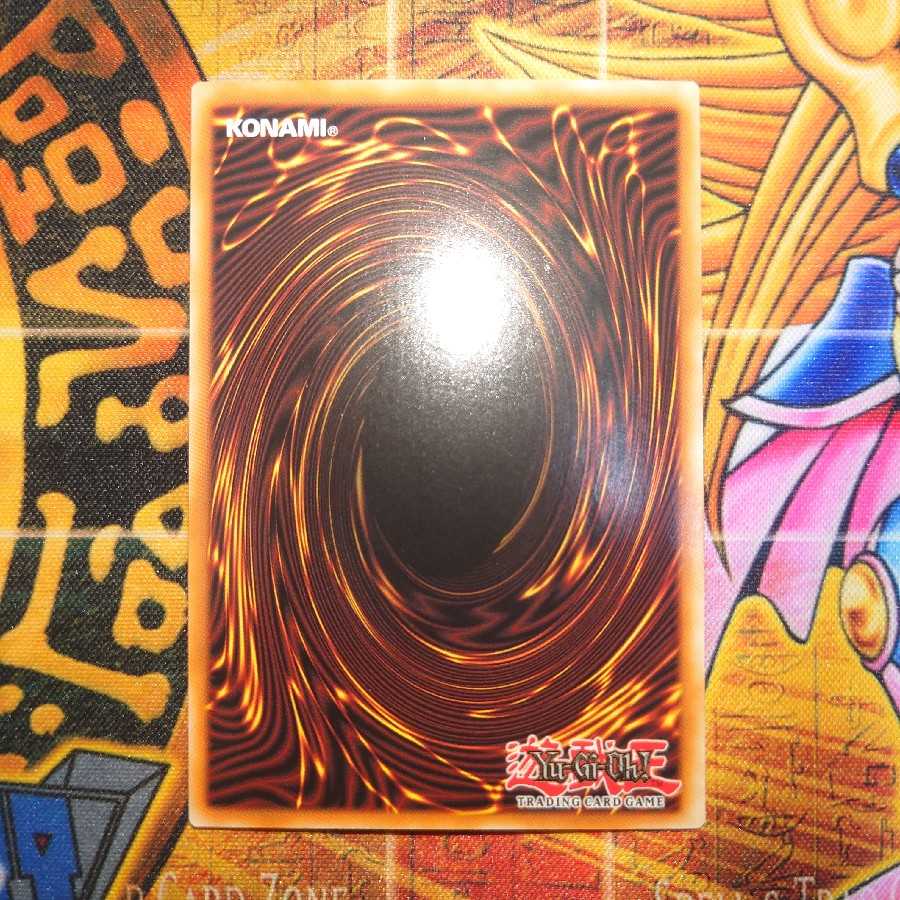 Predaplant Verte Anaconda (Pregol English)