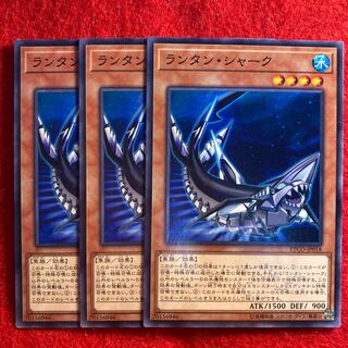 Lantern Shark*4174