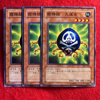 髑髏顔 天道虫☆4185 1枚