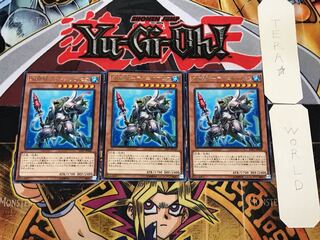 水精鱗-ディニクアビス 5 レア 3枚セット てら