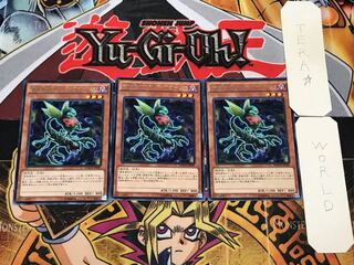 捕食植物オフリス・スコーピオ 5 レア 3枚セット てら