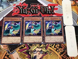 月光翠鳥 3 レア 3枚セット てら