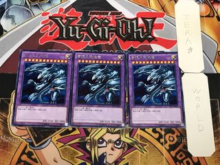 青眼の究極竜 2 レア 3枚セット てら