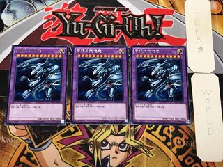 青眼の究極竜 3 レア 3枚セット てら